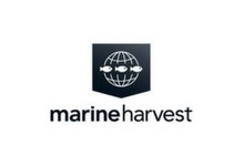 Marine Harvest